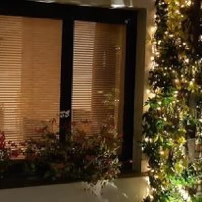 Wens, Chris Chris Wens