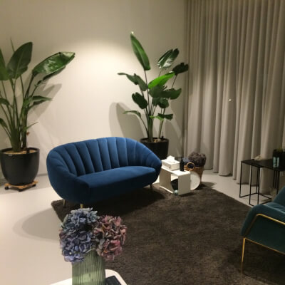 Triffonova, Zvezdelina Zvezdelina Triffonova