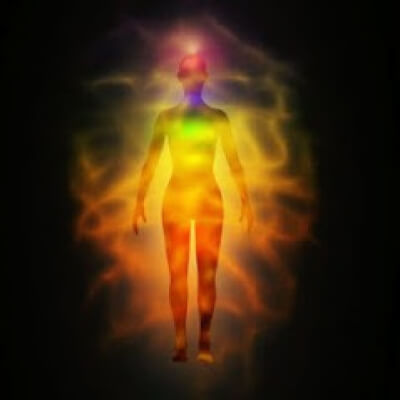 Triffonova, Zvezdelina Zvezdelina Triffonova